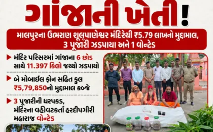 મંદિરના પરિસરમાં જ ગાંજાની ખેતી!